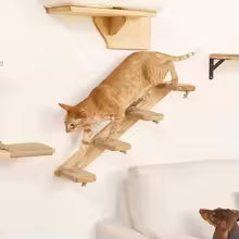 Pawlio™ Cat Wall Climber