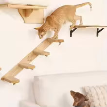 Pawlio™ Cat Wall Climber
